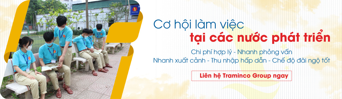 Cơi hội làm việc tại các nước phát triển với Traminco Group